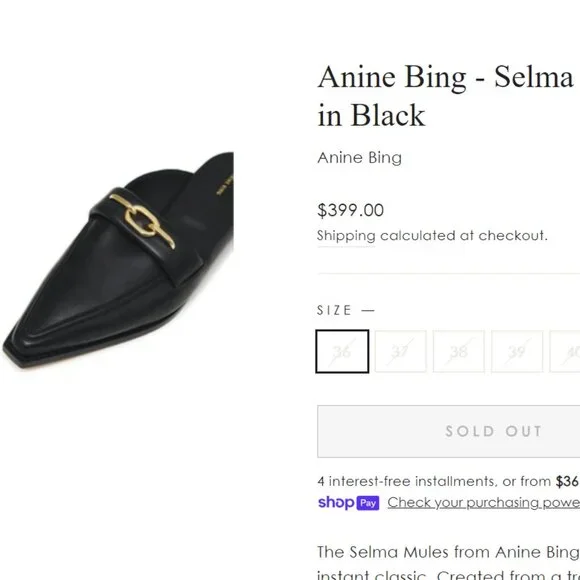 Anine Bing - Selma Mules in Black